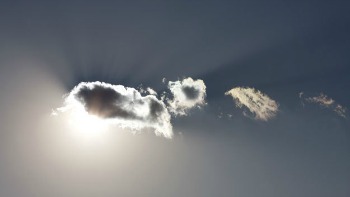 ahae, photographe, coréen, photos, studio, clichés, paysage, animaux, ciel, saison, expo, exposition, jardin des tuileries, paris, tuileries, photographe, coréen