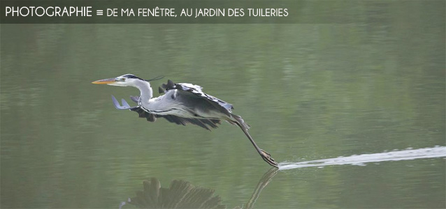 Choix de la rédaction : L`exposition photographique De ma fenêtre au Jardin des Tuileries, à Paris, jusqu`au 23 juillet 2012