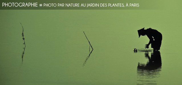 Choix de la rédaction : Photo par nature au Jardin des plantes, à Paris